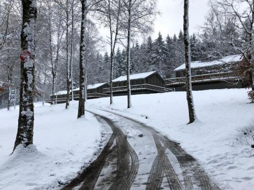 a snow covered road with trees and a bridge at Chalet de charme, le "Caribou Lodge", Eifel belge in Bullange