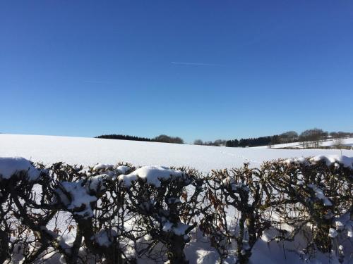 a field covered in snow with a hedge at Chalet de charme, le "Caribou Lodge", Eifel belge in Bullange