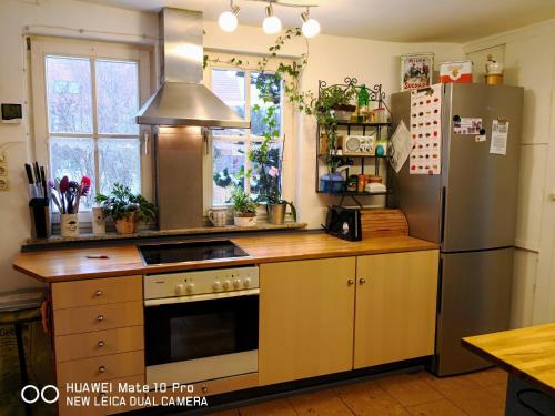 Η κουζίνα ή μικρή κουζίνα στο Ferienhaus vom Bahratal