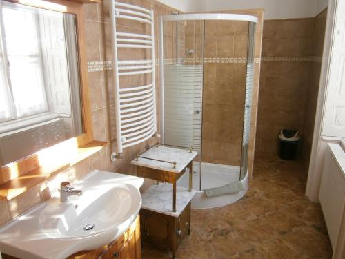 La salle de bains est pourvue d'un lavabo et d'une douche. dans l'établissement Kastélyfogadó Sitke, à Sitke