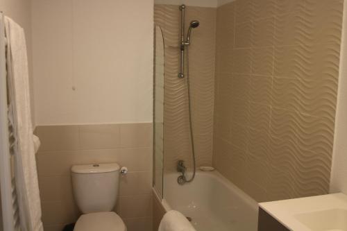 La salle de bains est pourvue d'une douche, de toilettes et d'un lavabo. dans l'établissement Les Balcons de L'Ocean, à Biscarrosse