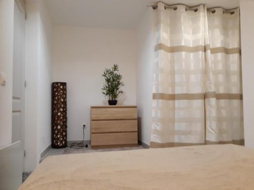 1 dormitorio con 1 cama y vestidor con planta en Appartement À Valence, en Valence