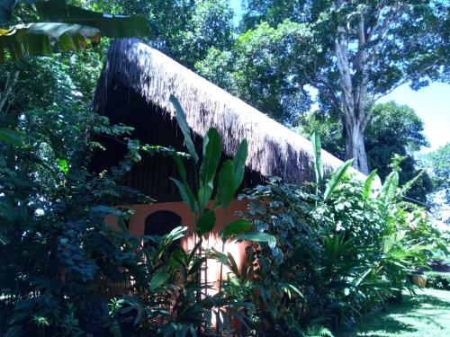 Taman di luar Pousada Boutique Sitio das Jaqueiras-Vista Rio Mar