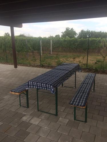 Instalaciones para jugar al ping pong en Apartmán Matyáš o alrededores