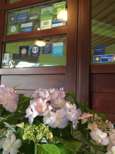a bunch of pink flowers sitting in a vase at Parkhotel Leiser in Planegg