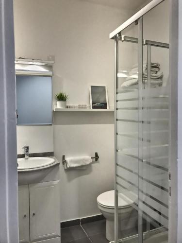 une salle de bain avec toilettes, lavabo et douche dans l'établissement Les Appartements d'Edmond Sylvabelle, à Marseille