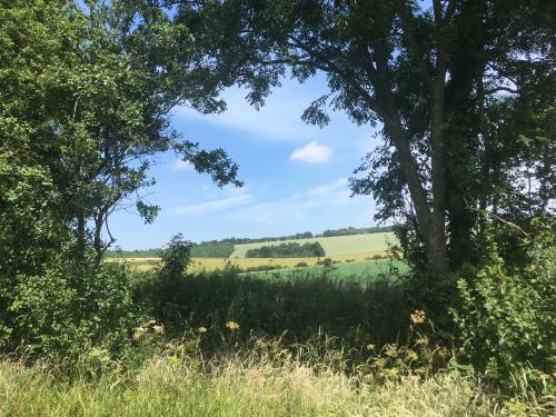 ホーンキャッスルにあるLincolnshire Glampingの草木の畑の眺め