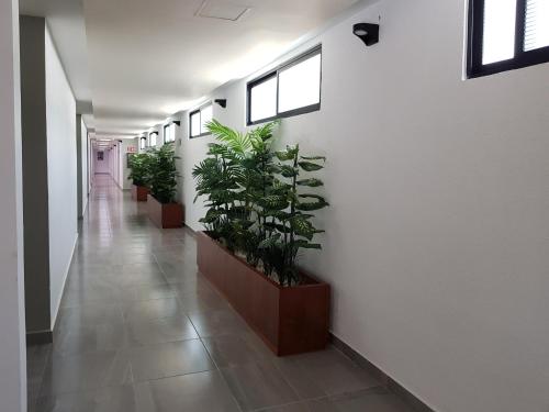 a hallway with a row of potted plants on the wall at Hotel Boutique La Toja Campeche in Campeche