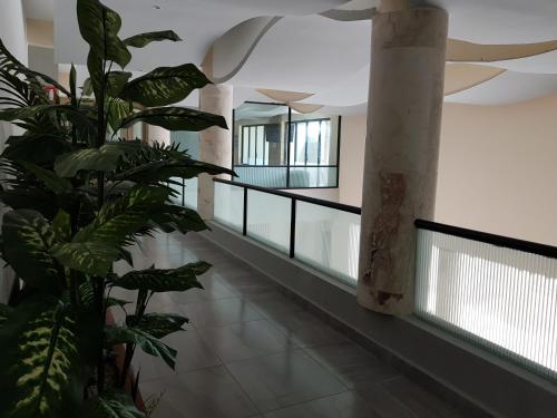 a hallway with a plant in a building at Hotel Boutique La Toja Campeche in Campeche