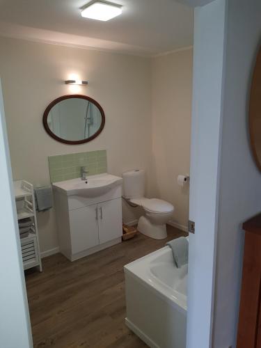 a bathroom with a sink and a toilet and a mirror at Garden Retreat in Otaki