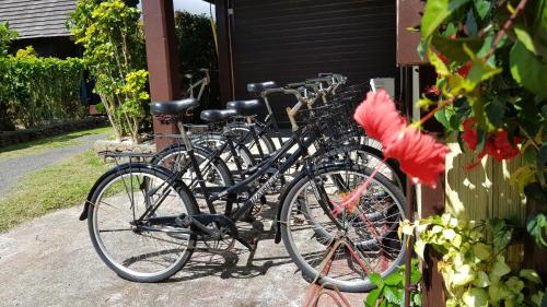 a row of bikes parked next to a house at Hotel Kaveka in Maharepa