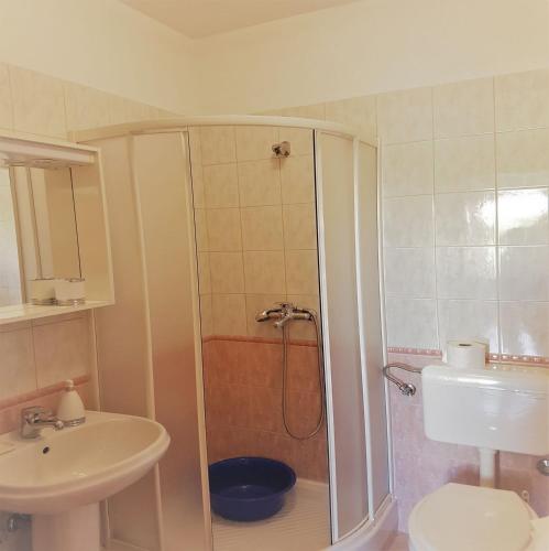 a bathroom with a shower and a toilet and a sink at Apartments Vrtlici in Stara Novalja