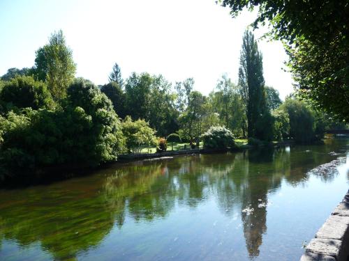 a view of a river with trees and bushes at Hotel Alienor in Brantôme