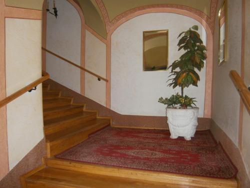 a staircase with a potted plant in a room at Kastélyfogadó Sitke in Sitke
