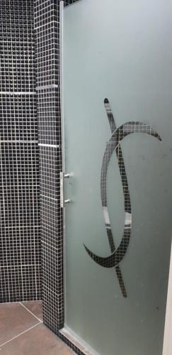 a door with a snake painted on it in a bathroom at Shahal Apartments in Beer Sheva