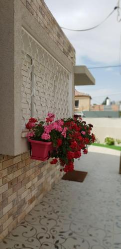 a flower pot on the side of a brick wall with flowers at Shahal Apartments in Beer Sheva