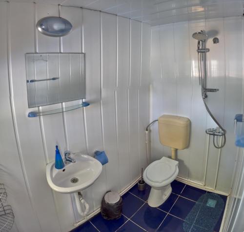 a small bathroom with a toilet and a sink at Delta Pontoon in Mahmudia