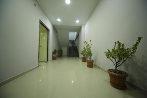 an empty hallway with potted plants in a building at Hotel Comfort in Kutaisi