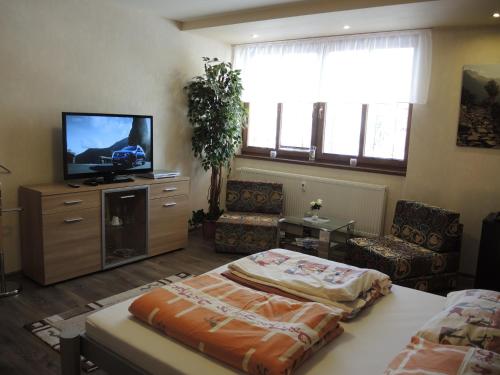 Apartmany Rudolfにあるテレビまたはエンターテインメントセンター