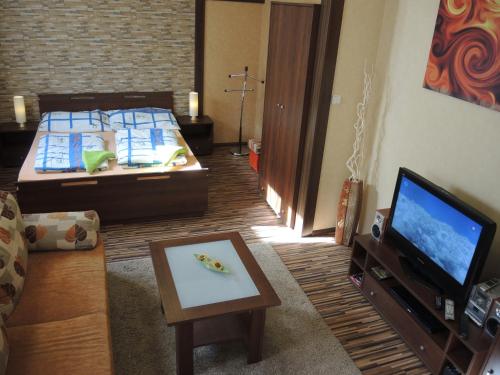 Apartmany Rudolfにあるテレビまたはエンターテインメントセンター