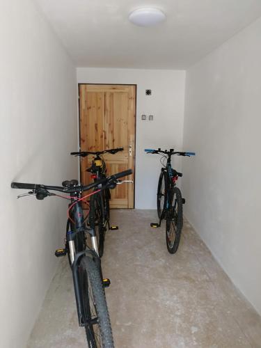 Anar amb bici a Apartmán Zebra o pels voltants