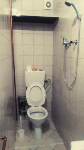 ein Bad mit einem WC und einer Dusche in der Unterkunft Soba Centar in Banja Luka