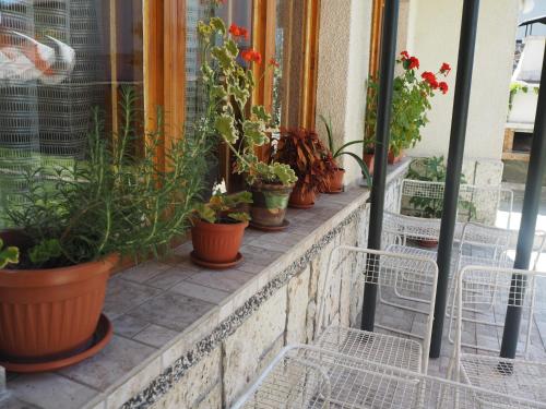 Gallery image of Орбелус in Govedartsi