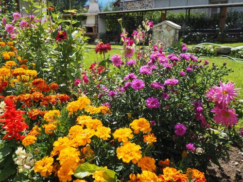 Gallery image of Орбелус in Govedartsi