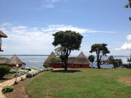 a resort with a view of the water at Samuka Island Retreat in Jinja
