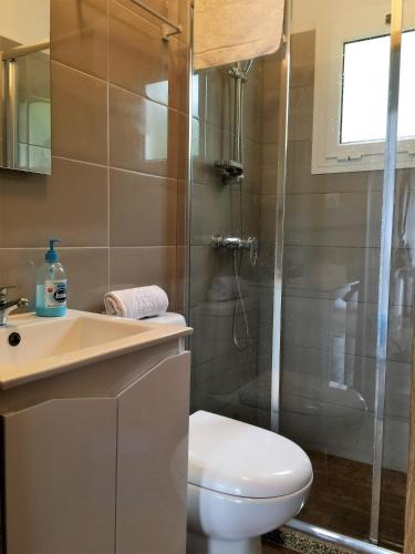 a bathroom with a shower and a toilet and a sink at Casinha da Vila in Arcos de Valdevez