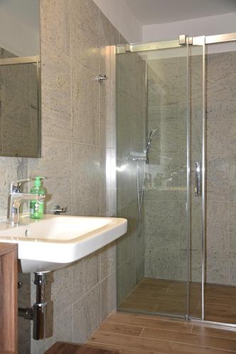 a bathroom with a sink and a glass shower at Na Zeleném statku in Rašovice
