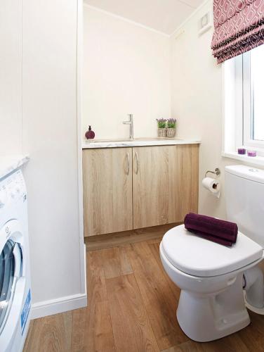 a bathroom with a white toilet and a sink at New Forest Lodges Bashley Park in New Milton