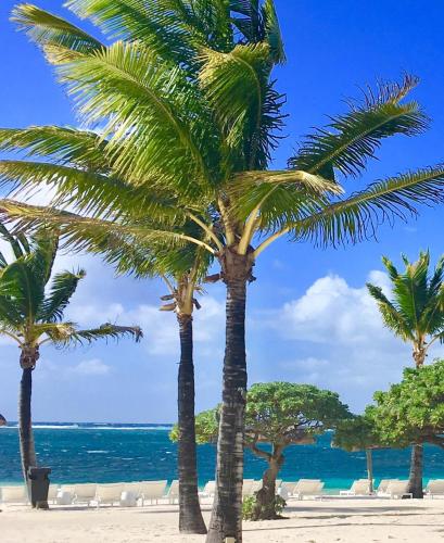 a group of palm trees on a beach at Sonnige Ferienwohnung mit Wifi in Flic-en-Flac