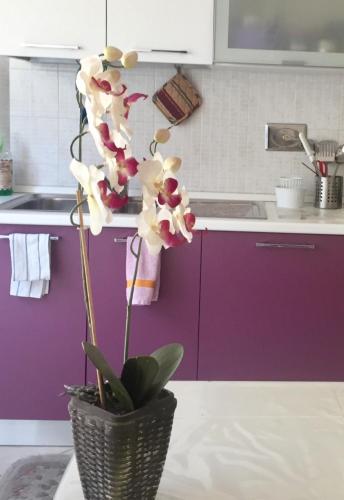 Dapur atau dapur kecil di My House for Florence, Airconditioned - Easy Parking