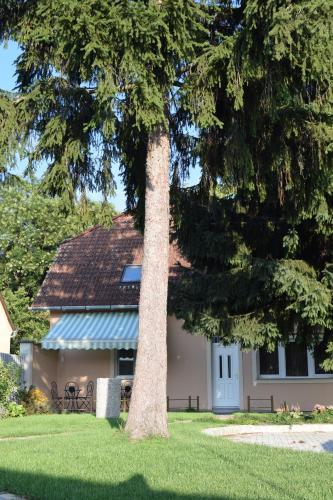 Billede fra billedgalleriet på La Mia Casa Vendégház i Kaposvár