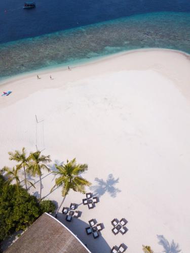 an aerial view of a beach with chairs and palm trees at Dreamland Maldives Resort in Baa Atoll