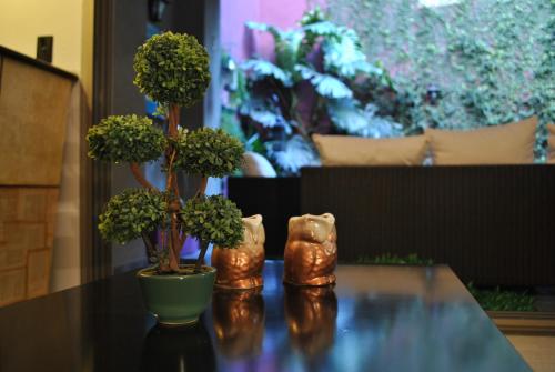 Zahrada ubytování InspireBA - Garden