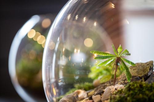 a small plant in a glass vase on a table at The Black Bull Inn in Sedbergh