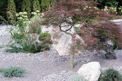 a small tree in a garden with a rock at Apartments Villa Tatiana in Bled