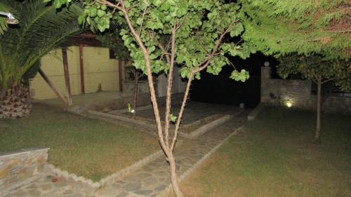 a small tree in a yard at night at Beach Front House With View in Marathos