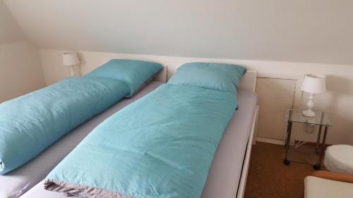 two beds in a room with blue pillows at Haus Ginkgo in Kappeln