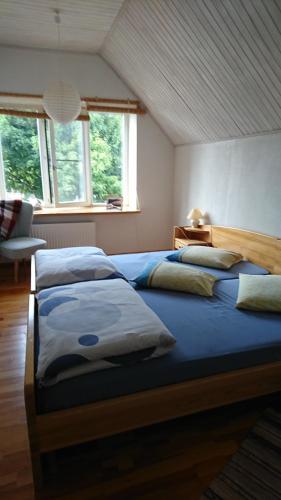 Легло или легла в стая в Guest House Vidlauči