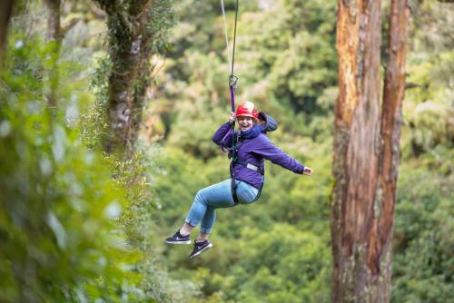 a woman hanging from a rope in the trees at Millennium Hotel Rotorua in Rotorua