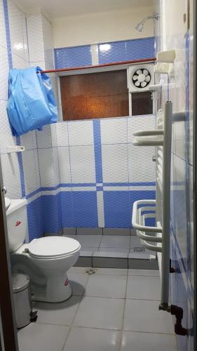 a blue and white bathroom with a toilet and a sink at "Eucalyptus Uyuni" only dollars or euros are accepted in Uyuni