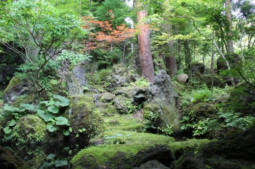 a garden with rocks and plants and trees at 晴家(HALELUYA) Guest House in Fujikawaguchiko