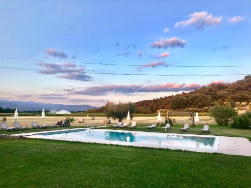 a swimming pool in a grassy field with chairs at Agriturismo Sambuco in Pastrengo