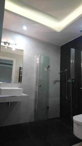 a bathroom with a shower and a sink at Perłowa Przystań in Pierwoszyno