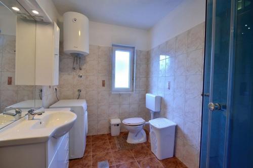La salle de bains est pourvue d'un lavabo, de toilettes et d'une douche. dans l'établissement Apartment Nada with Private Pool, à Buzet