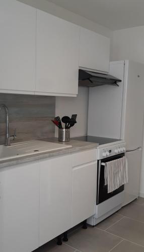 une cuisine blanche avec un évier et une cuisinière dans l'établissement L'Abri d'Emilie - Chambre d'hôtes, à Saint-Xandre