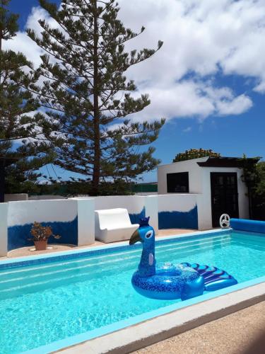 Πισίνα στο ή κοντά στο Casa Albryna Lanzarote Rural Villa, Pool Wifi